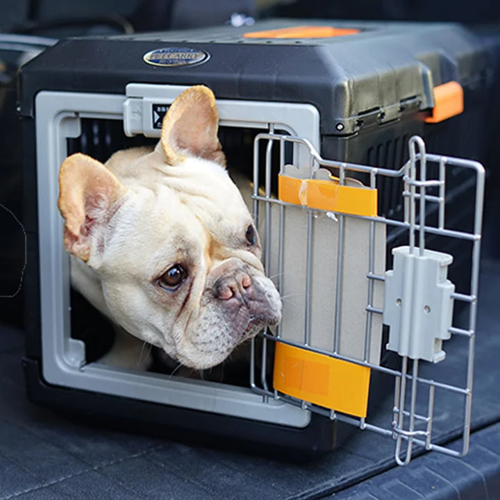 Faltbare Transportbox Für Unterwegs -  Stowix