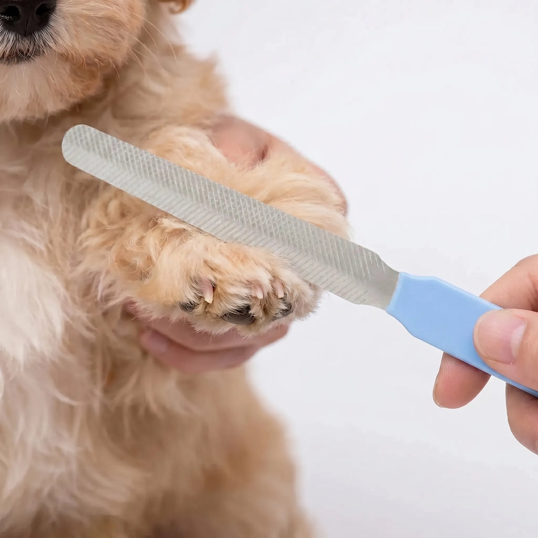 Feile Zur Haustierkrallenpflege -  PawFile