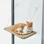 Fenstersauger-Hängehängematte Für Katzen -  Windowsnooze