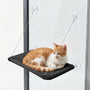 Fenstersauger-Hängehängematte Für Katzen -  Windowsnooze