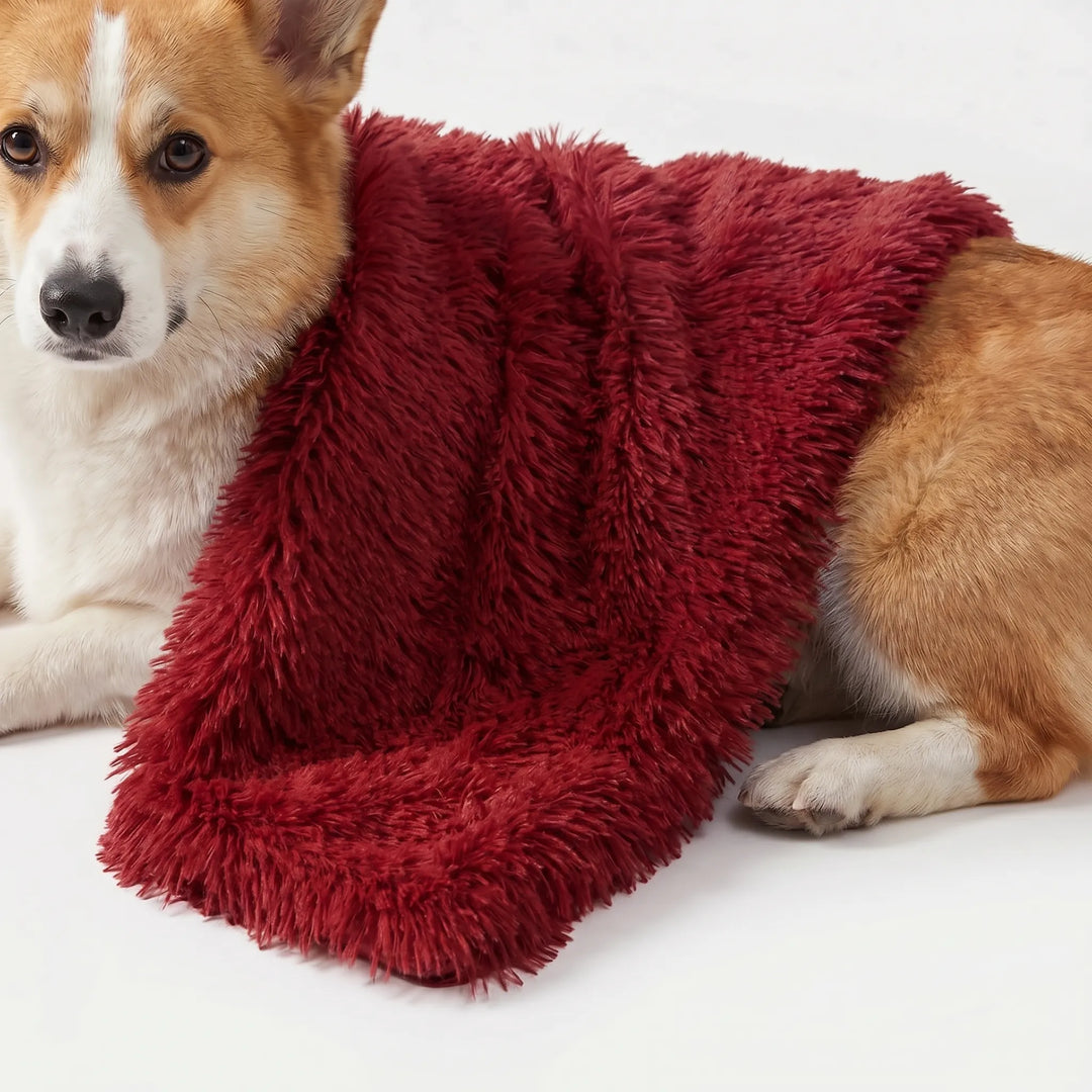 Flauschige Decke Für Hunde Und Katzen -  PawCloud