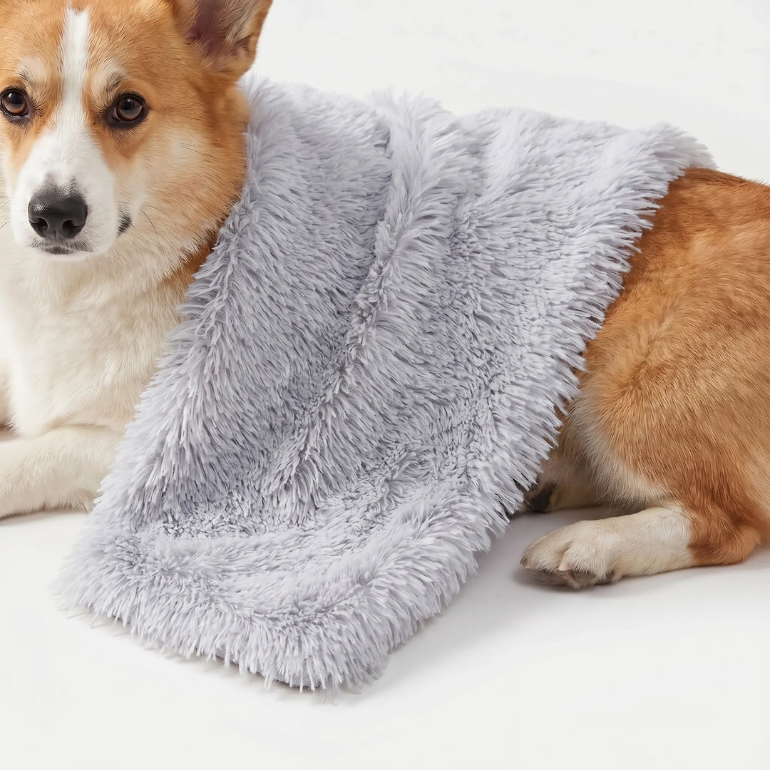 Flauschige Decke Für Hunde Und Katzen -  PawCloud