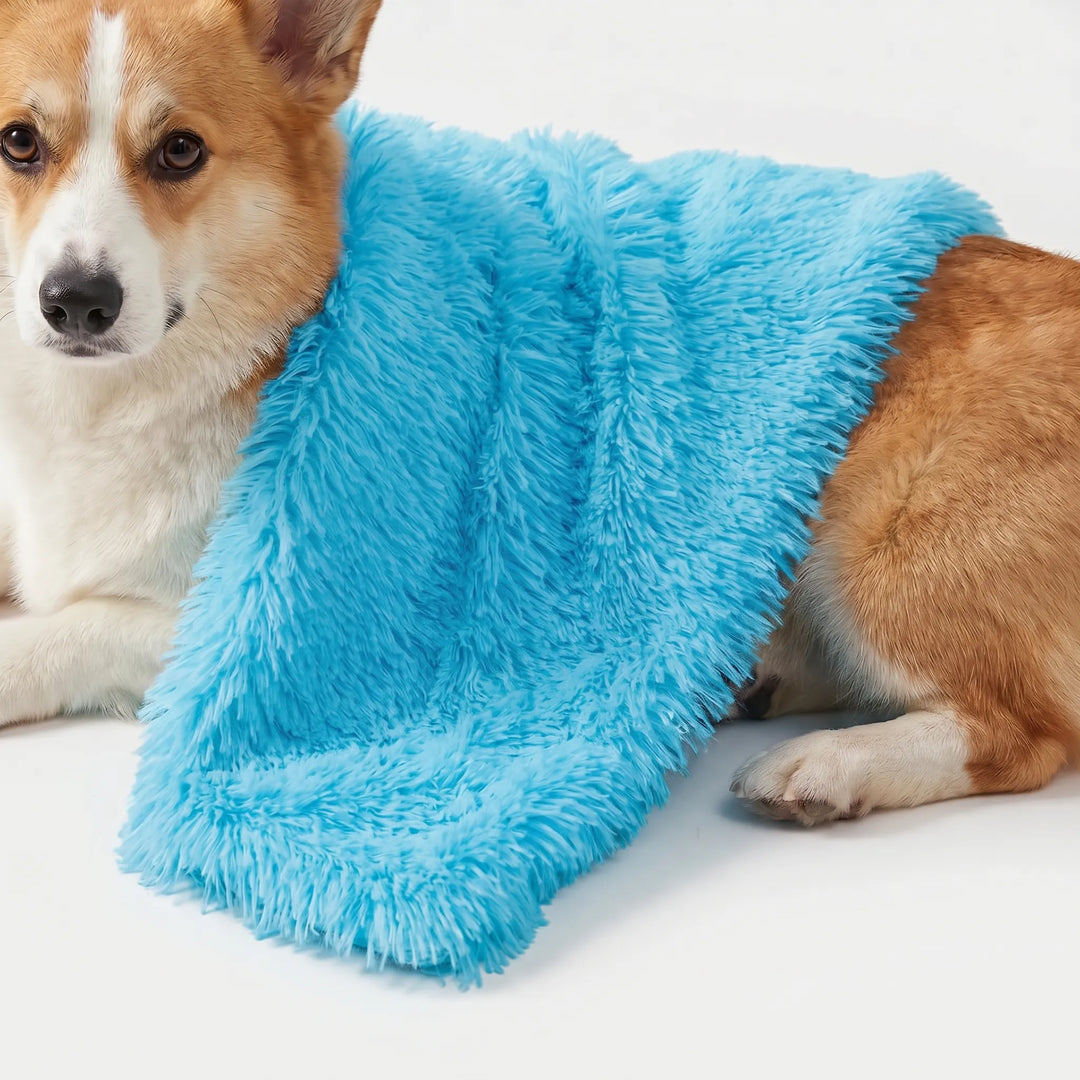 Flauschige Decke Für Hunde Und Katzen -  PawCloud