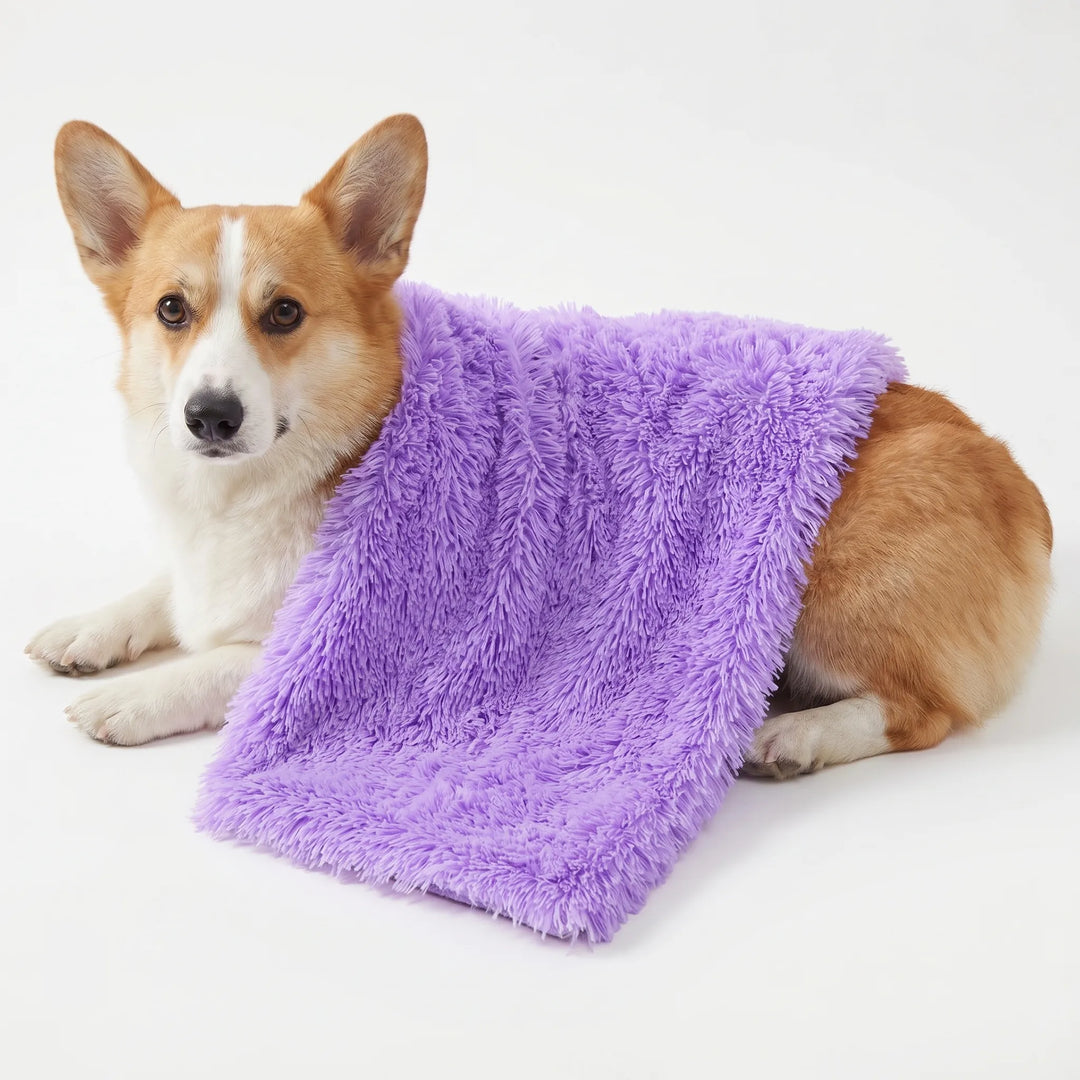 Flauschige Decke Für Hunde Und Katzen -  PawCloud