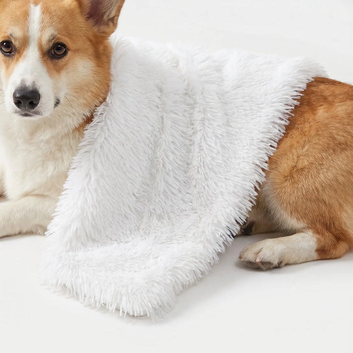 Flauschige Decke Für Hunde Und Katzen -  PawCloud