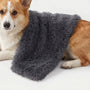 Flauschige Decke Für Hunde Und Katzen -  PawCloud