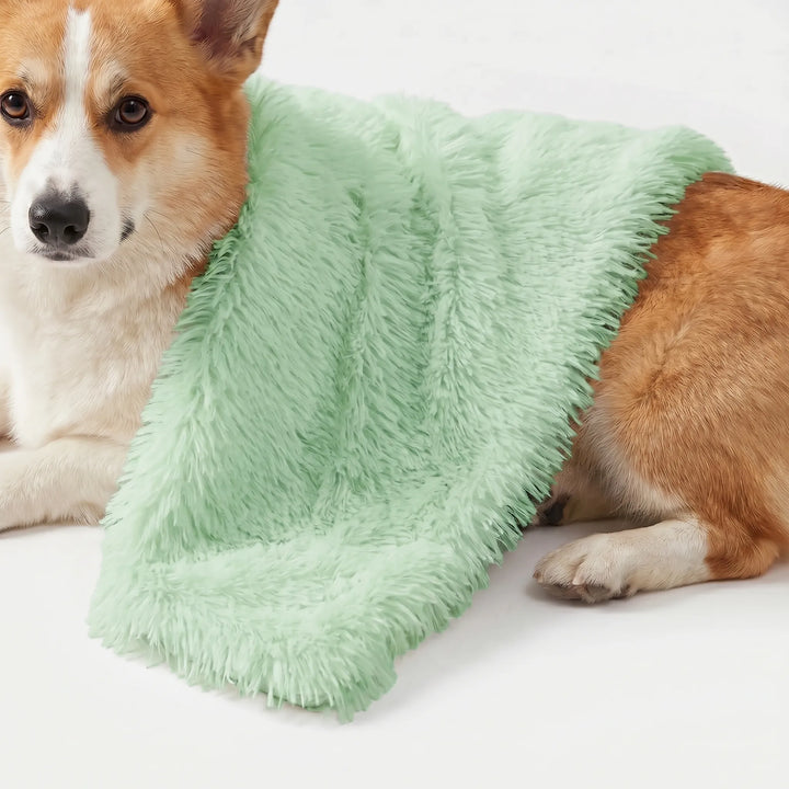Flauschige Decke Für Hunde Und Katzen -  PawCloud