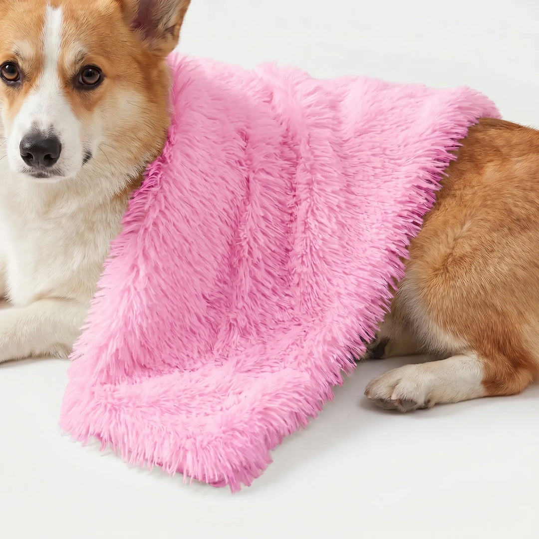 Flauschige Decke Für Hunde Und Katzen -  PawCloud
