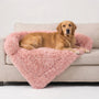 Flauschiges Haustiersofa Mit Seitenlehnen -  Plushpaw