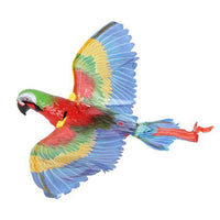 Fliegendes Katzenspielzeug -  Avioso