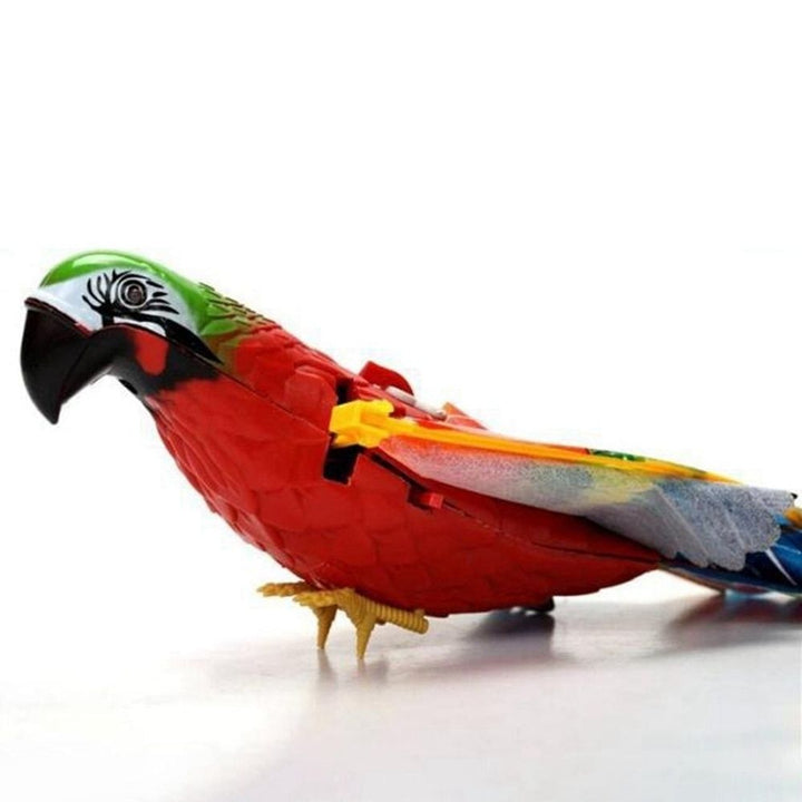 Fliegendes Katzenspielzeug -  Avioso