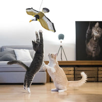 Fliegendes Katzenspielzeug -  Avioso