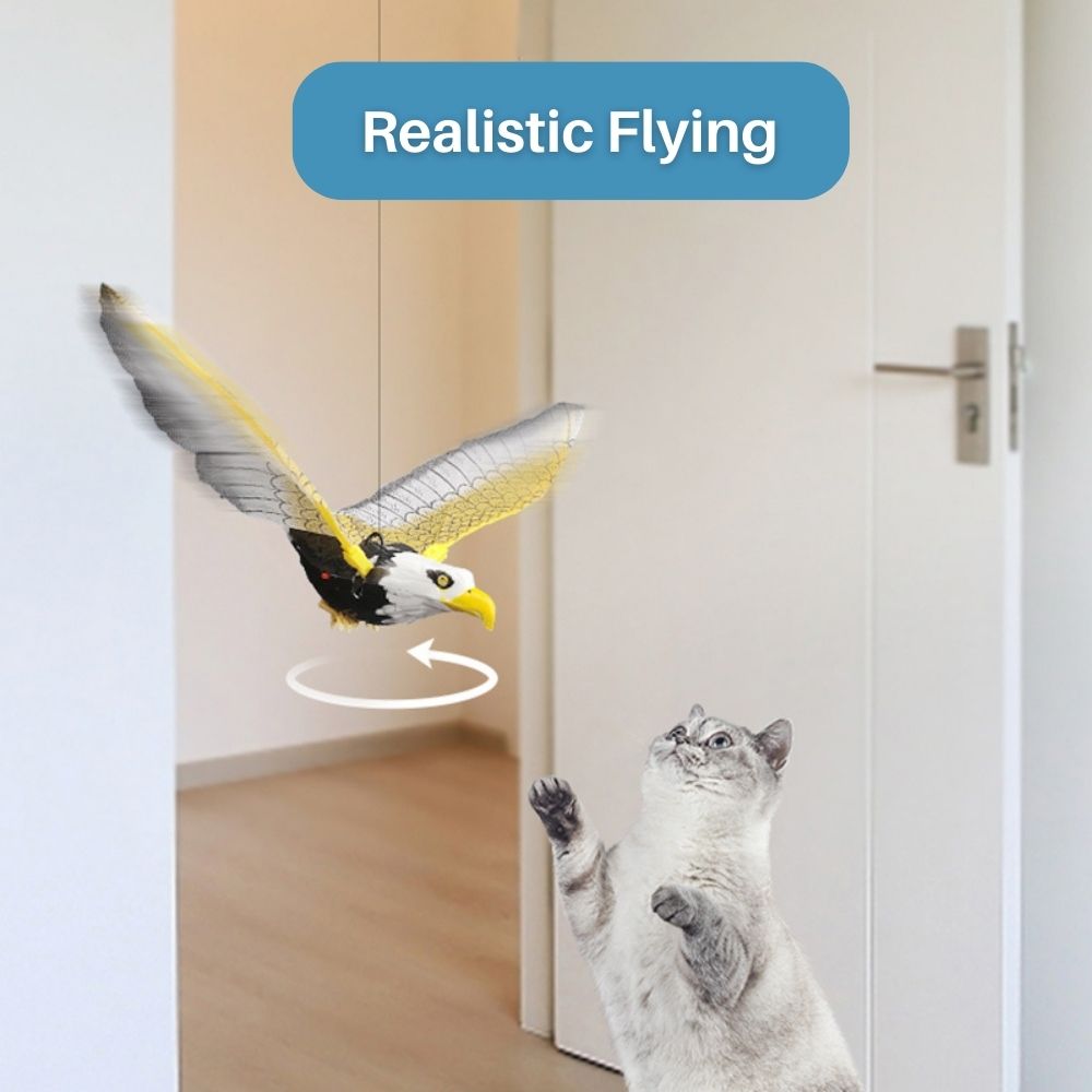 Fliegendes Katzenspielzeug -  Avioso