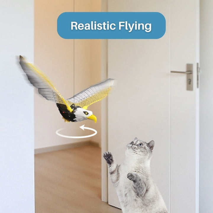 Fliegendes Katzenspielzeug -  Avioso