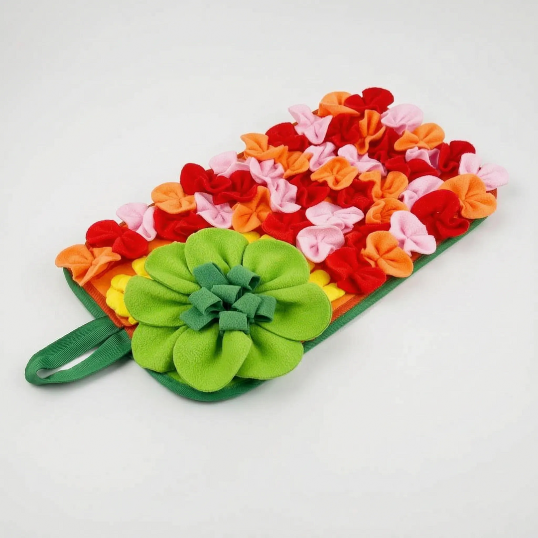 Floraler Interaktiver Schnüffelteppich -  FloraForage