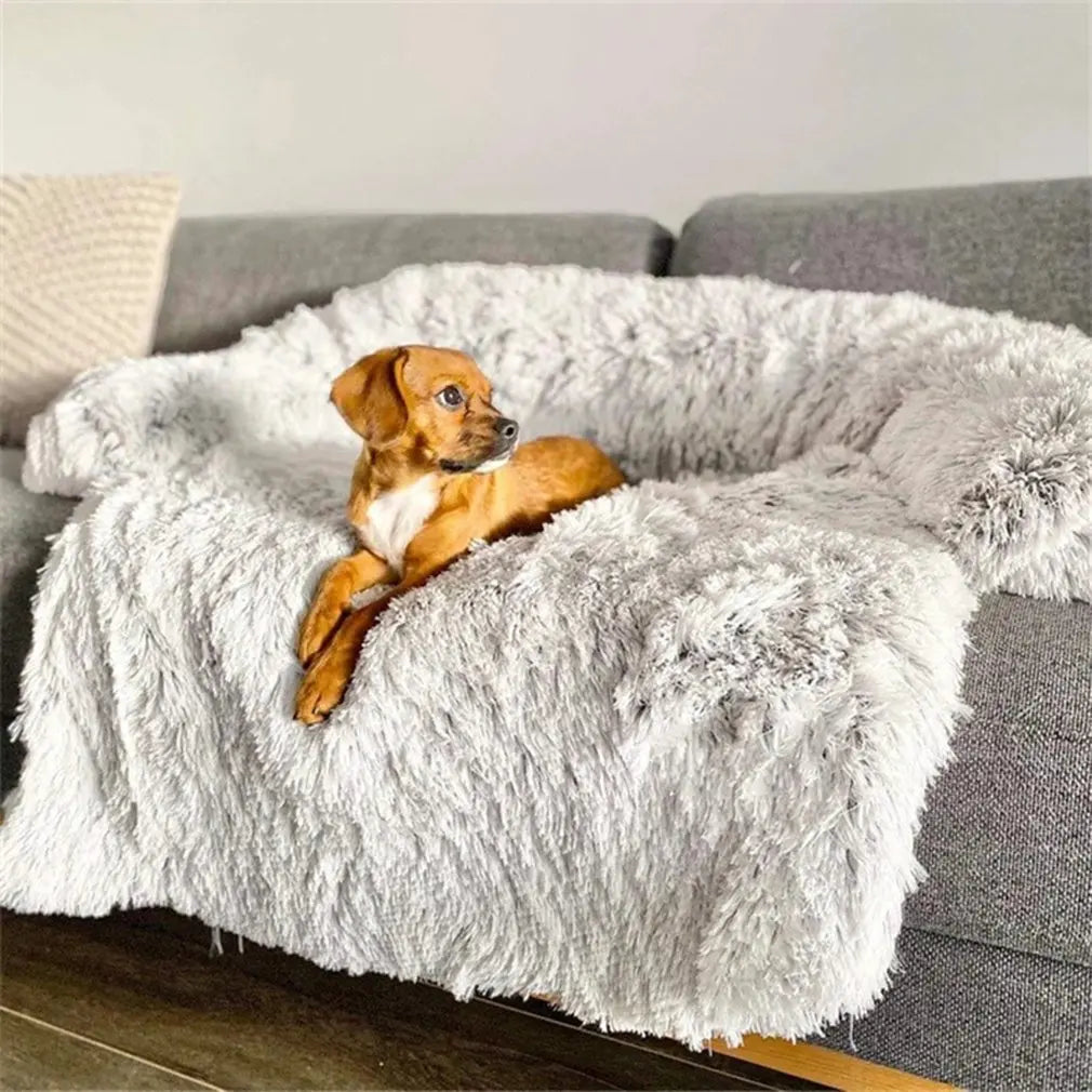Fluffige Haustierdecke Für Das Sofa -  Fluffery