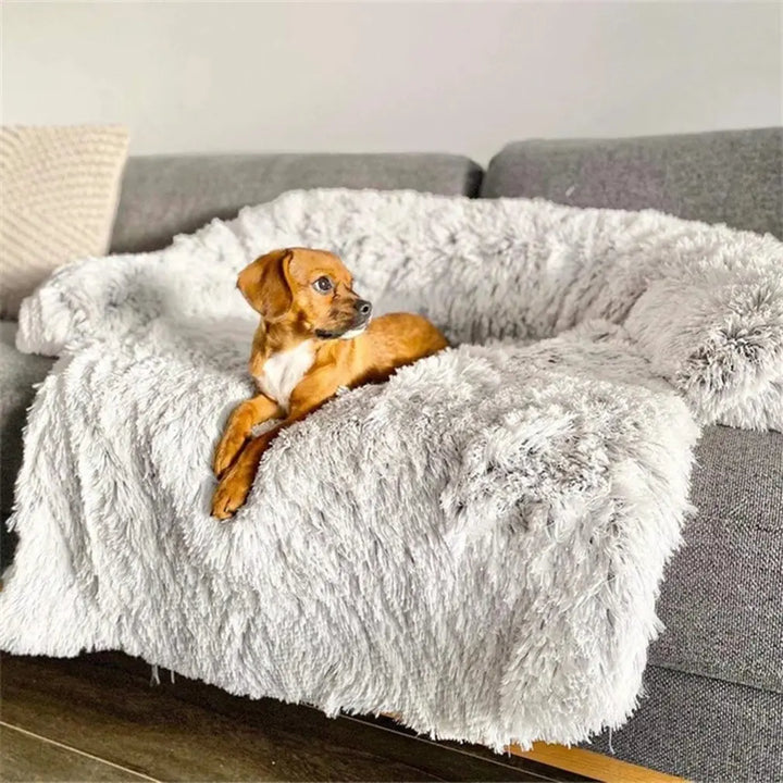 Fluffige Haustierdecke Für Das Sofa -  Fluffery