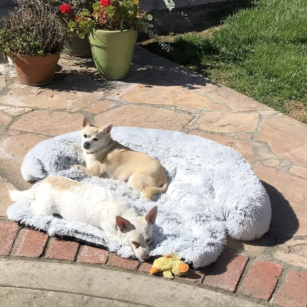 Fluffige Haustierdecke Für Das Sofa -  Fluffery
