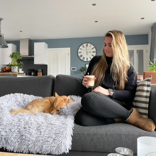 Fluffige Haustierdecke Für Das Sofa -  Fluffery