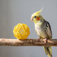 Geflochtenes Knabber- Und Vogelspielzeug -  ChewOrb