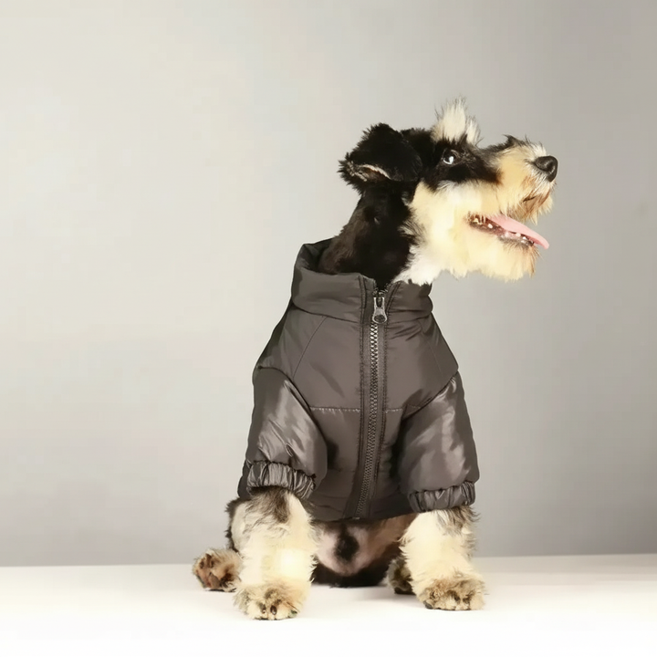 Gefütterte Hundejacke -  Chilliox