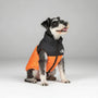 Gefütterte Hundejacke -  Chilliox