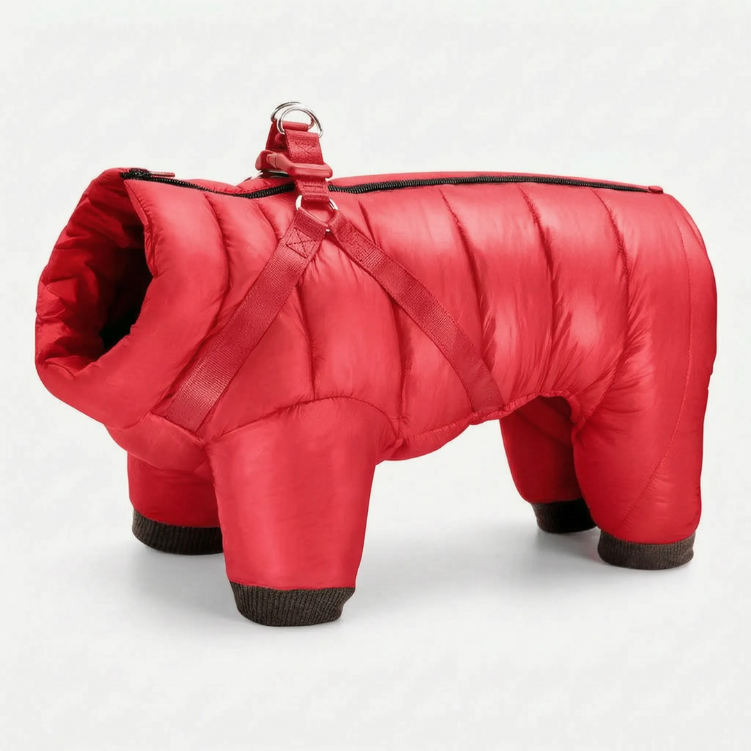 Gefütterte Steppjacke Für Hunde -  Warmify