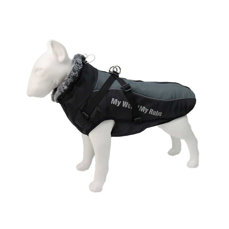 Gefütterte Winterjacke Für Hunde -  Houndex