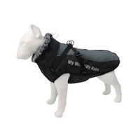 Gefütterte Winterjacke Für Hunde -  Houndex