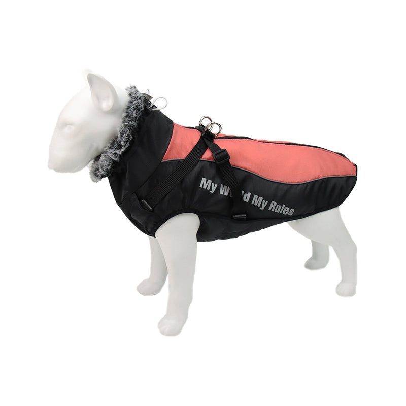 Gefütterte Winterjacke Für Hunde -  Houndex