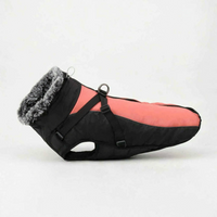 Gefütterte Winterjacke Für Hunde -  Houndex