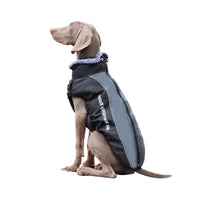 Gefütterte Winterjacke Für Hunde -  Houndex