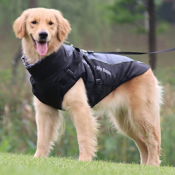 Gefütterte Winterjacke Für Hunde -  Houndex