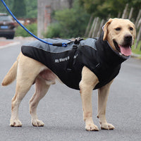 Gefütterte Winterjacke Für Hunde -  Houndex