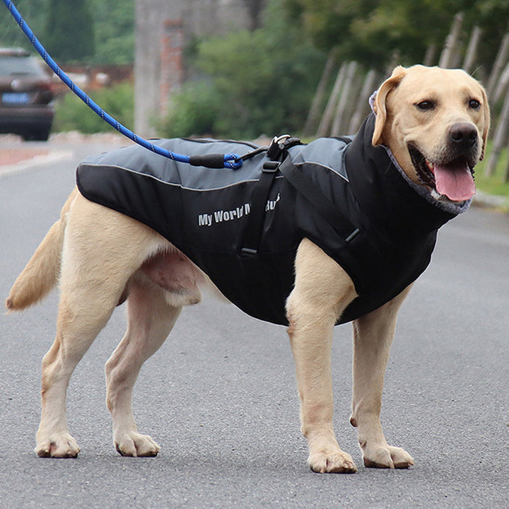 Gefütterte Winterjacke Für Hunde -  Houndex