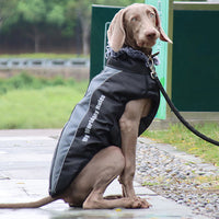 Gefütterte Winterjacke Für Hunde -  Houndex