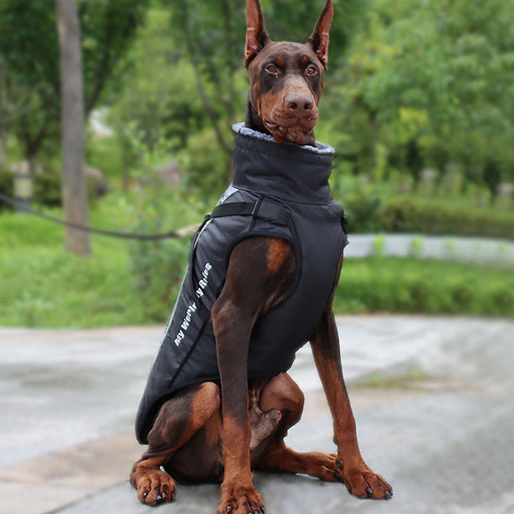 Gefütterte Winterjacke Für Hunde -  Houndex