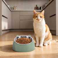 Geneigter Futternapf -  Mewola