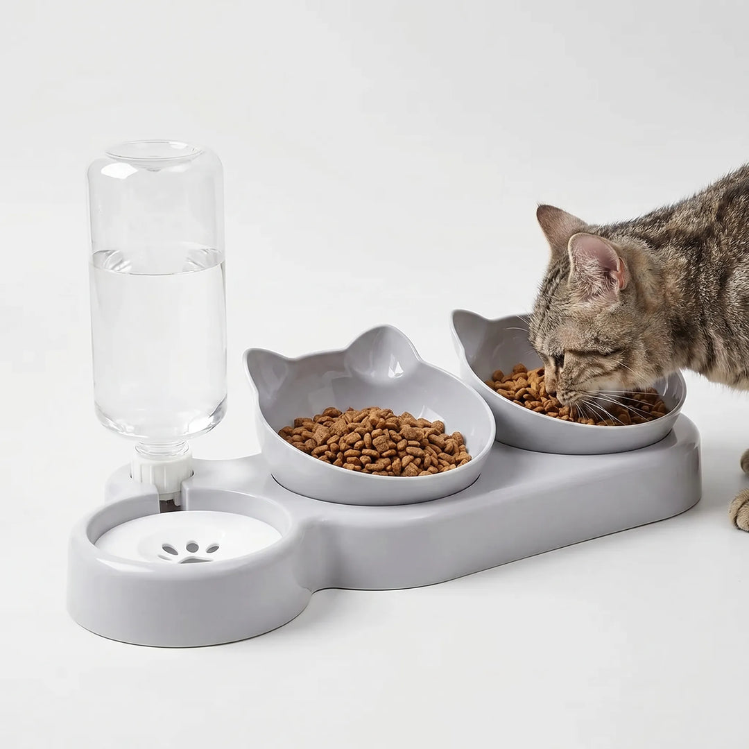 Geneigtes 3-In-1-Fressnapf-Set mit Wasserspender -  Pawstation