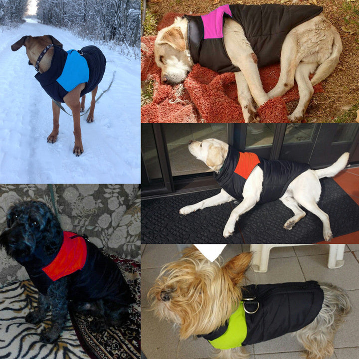 Gepolsterte Hundejacke -  Trekkin