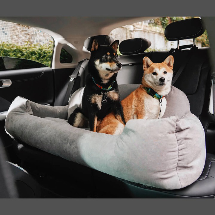 Gepolstertes Hunde-Reisebett -  Barkom
