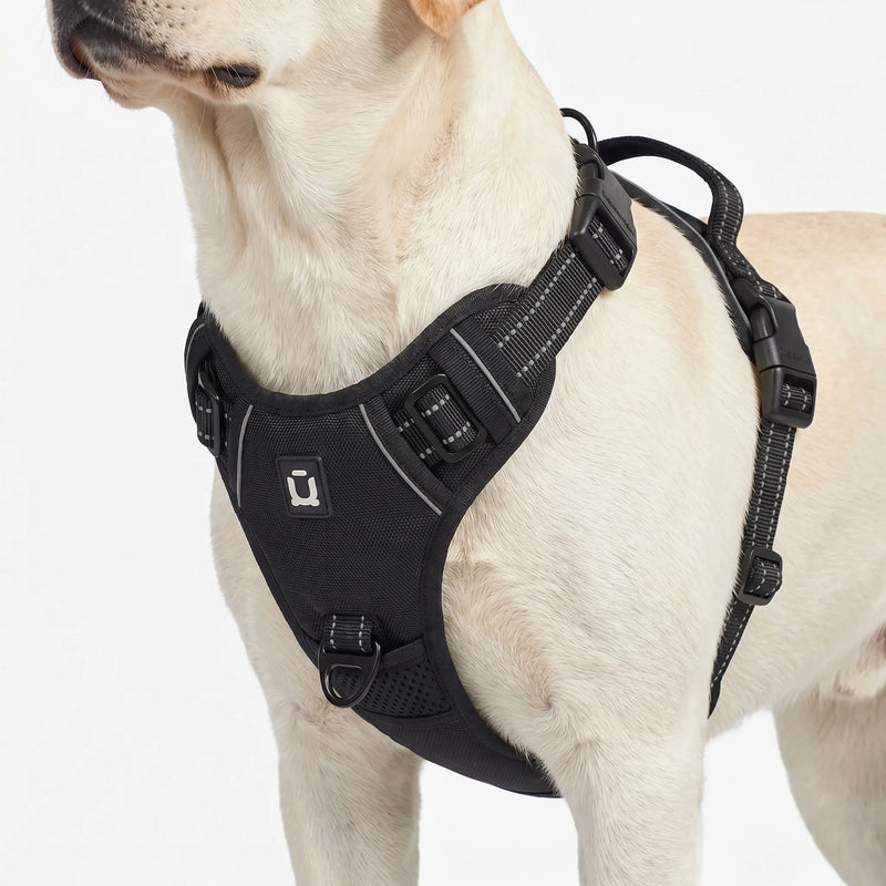Gepolstertes Zugstop-Brustgeschirr Für Hunde -  PawVest