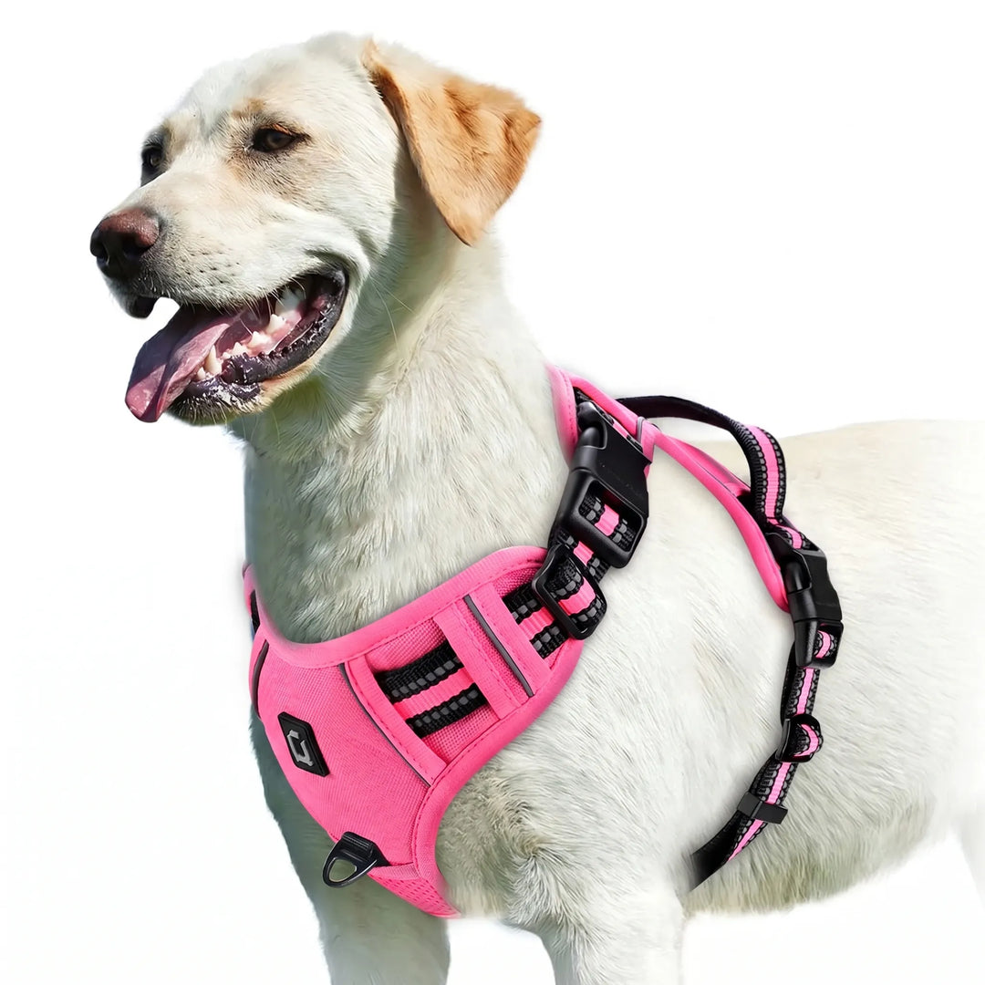 Gepolstertes Zugstop-Brustgeschirr Für Hunde -  PawVest