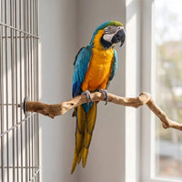 Gewellte Natürliche Vogelstange -  BranchRest