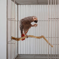 Gewellte Natürliche Vogelstange -  BranchRest