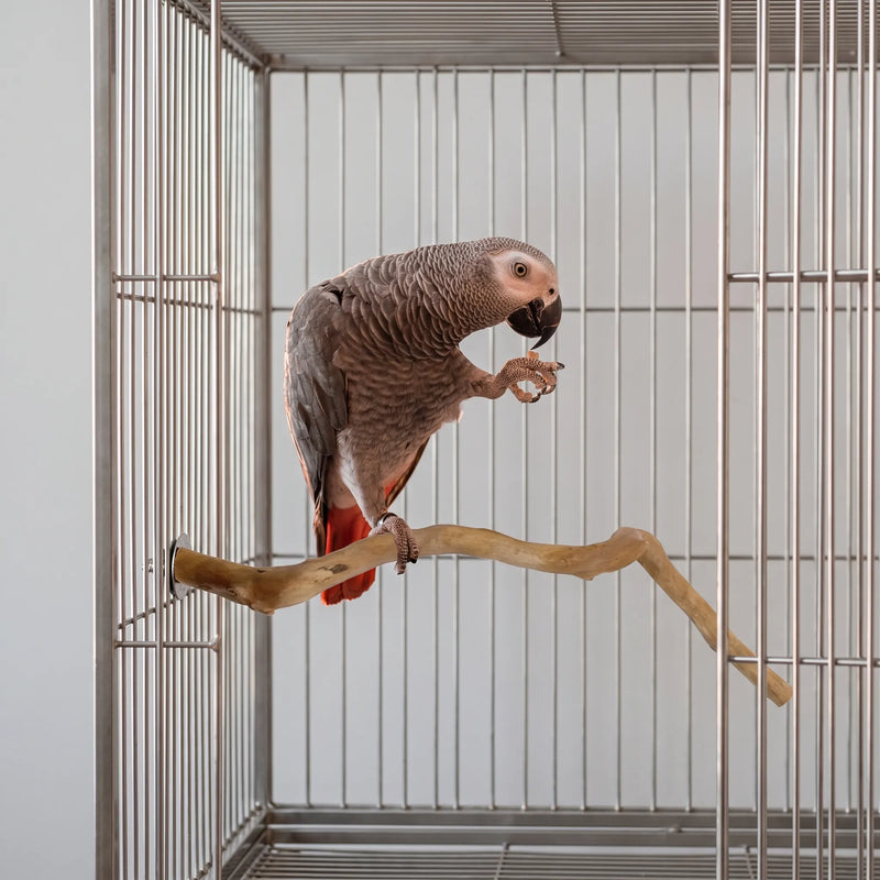 Gewellte Natürliche Vogelstange -  BranchRest