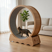 Großes Laufrad Für Hauskatzen -  CatWheelo