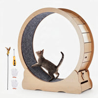 Großes Laufrad Für Hauskatzen -  CatWheelo