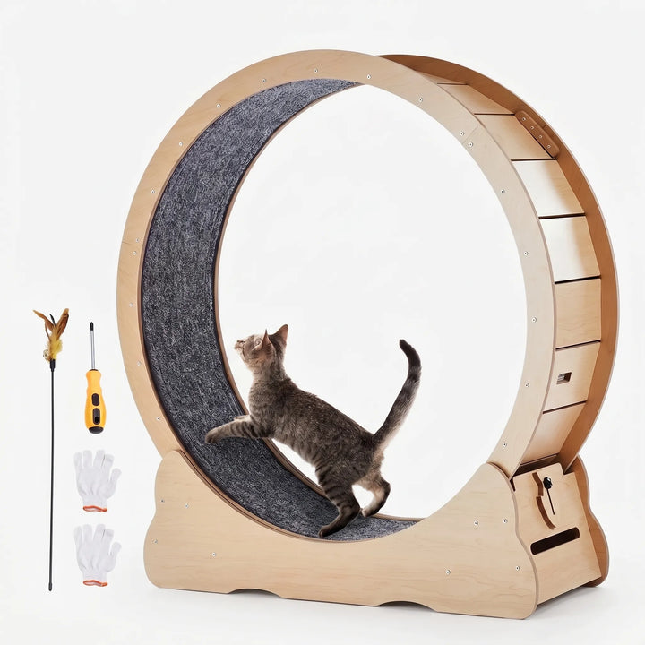 Großes Laufrad Für Hauskatzen -  CatWheelo