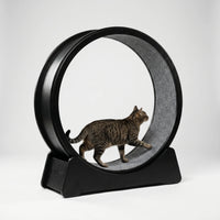 Großes Laufrad Für Hauskatzen -  CatWheelo